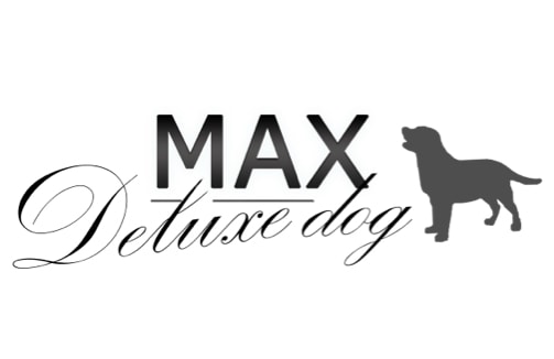 Logo Max
