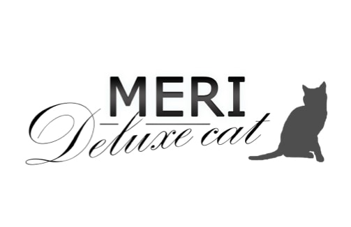 Logo Meri