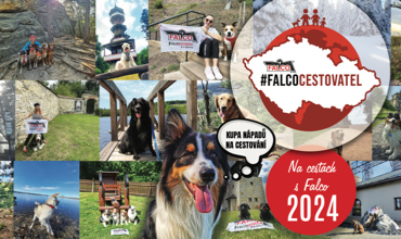 Falco cestovatel