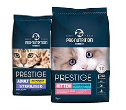 Produkt