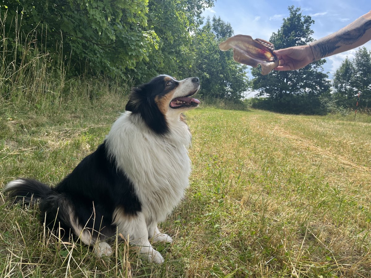 NOVINKA V NAŠÍ NABÍDCE