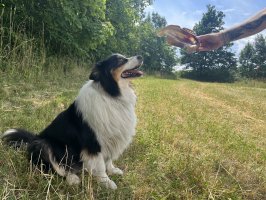 NOVINKA V NAŠÍ NABÍDCE