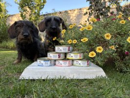 NOVÁ VELIKOST, NOVÉ CHUTĚ!