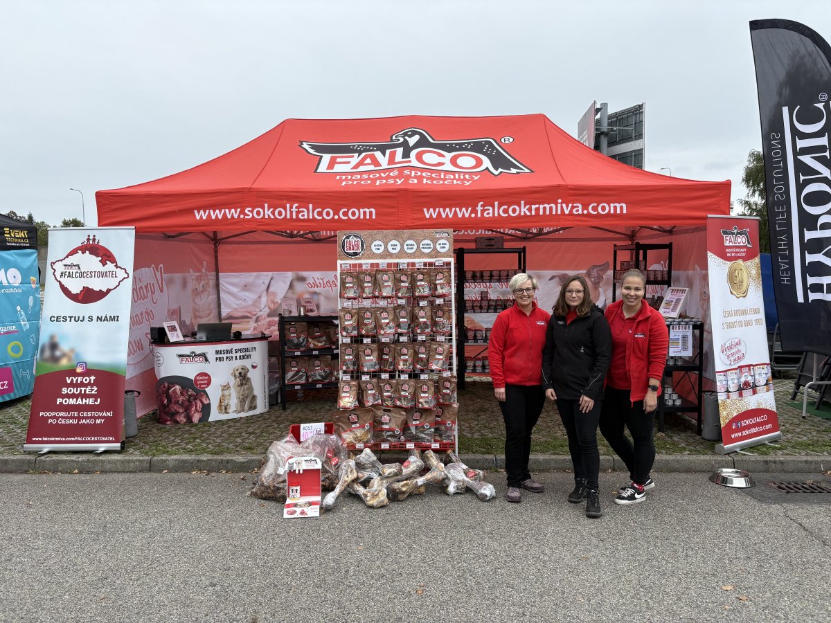 VÝSTAVA V BUDĚJOVICÍCH